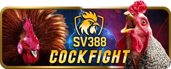 Cá cược bóng đá tại v999 chính thức